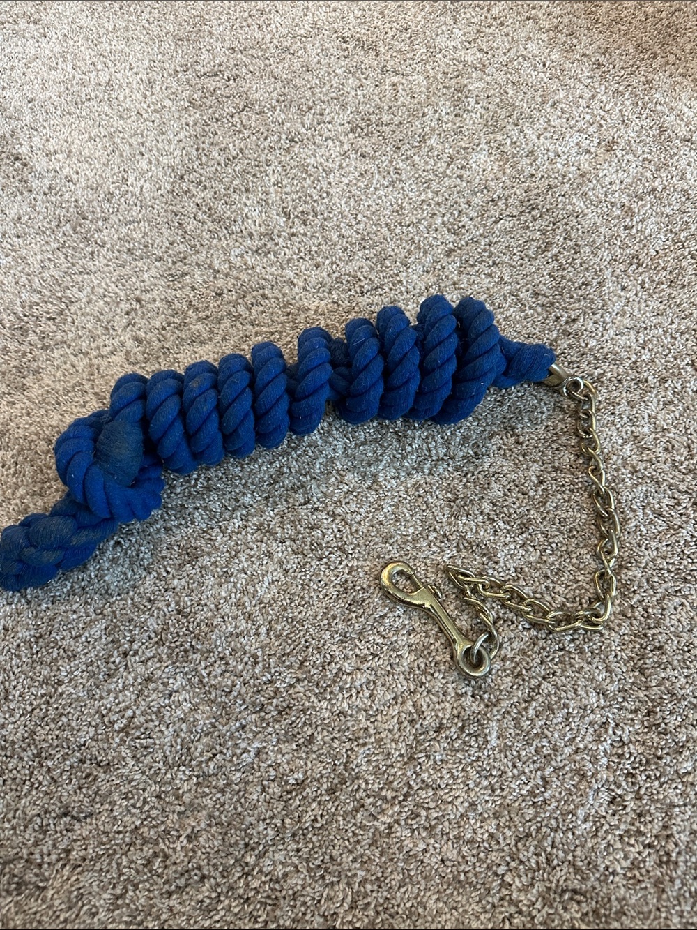 Blue chain lead rope